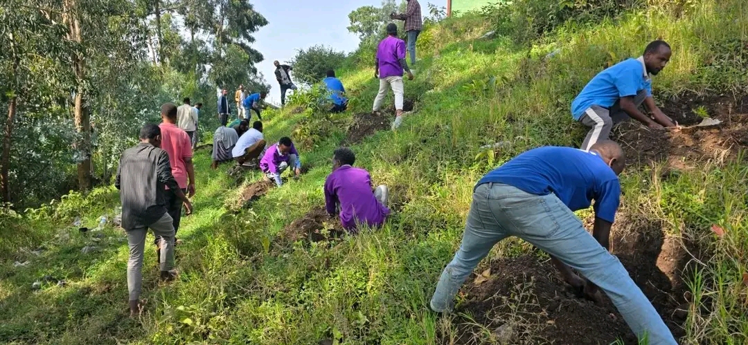 Duula Ashaaraa Magariisaa